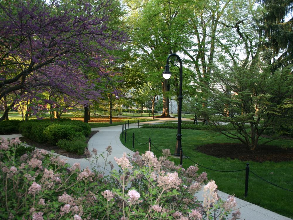 Sidewalks outside of Old Main